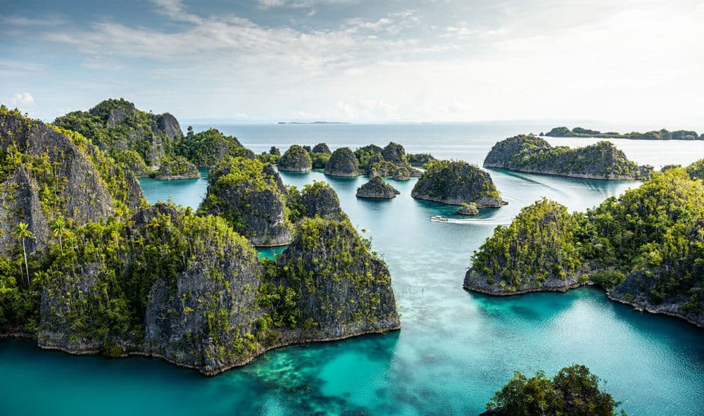 Velocean raja ampat liveaboard