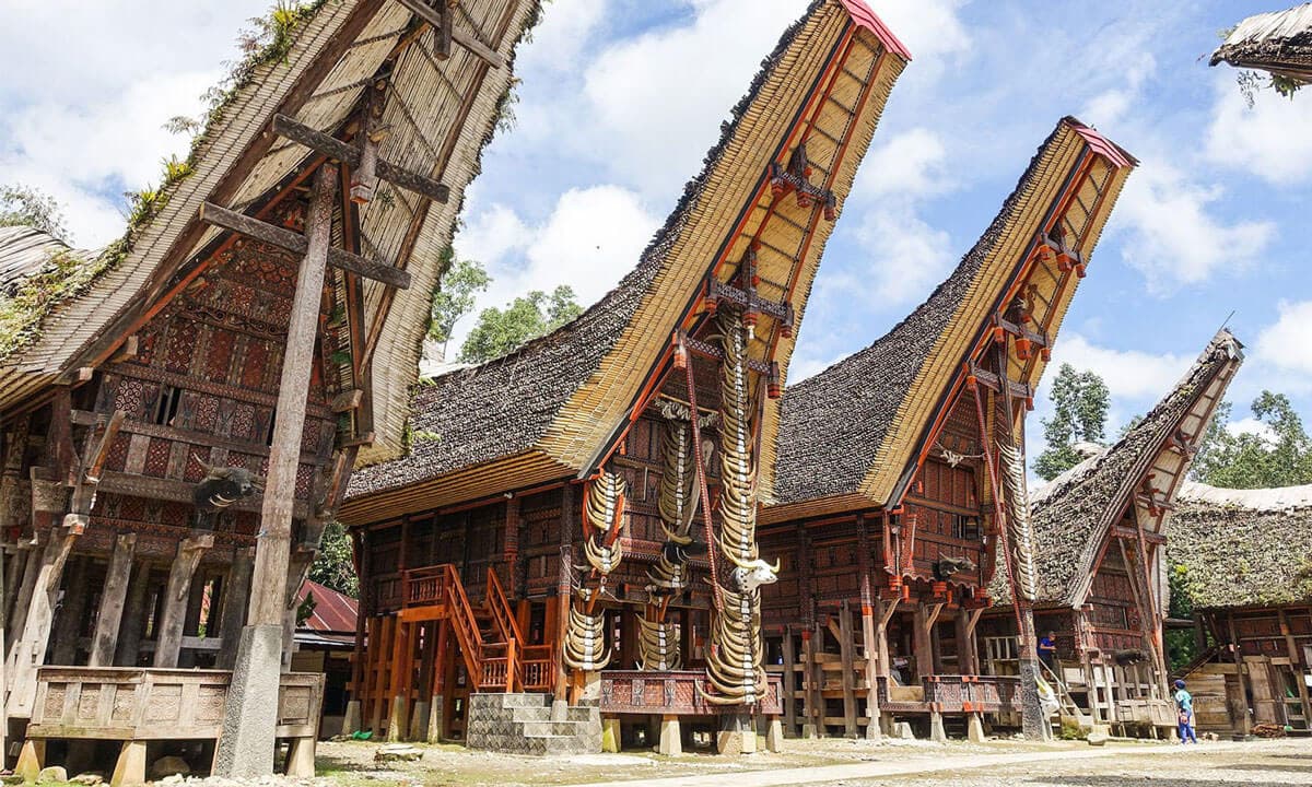 Toraja Tour