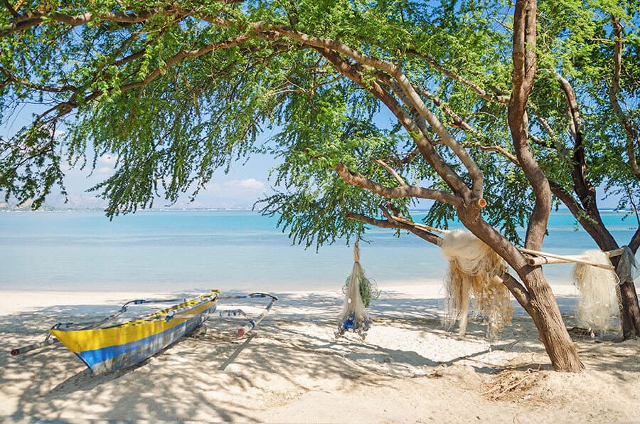 Timor Leste - Whale Watching Trip