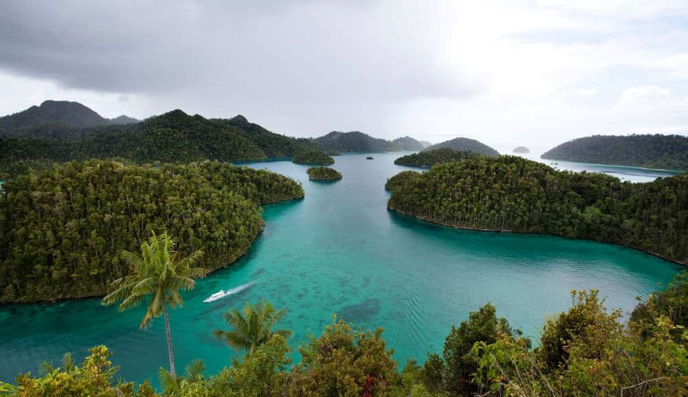 Central Wayag LOB Dive Trip with Prestige Voyager - Lebaran Escape to Raja Ampat